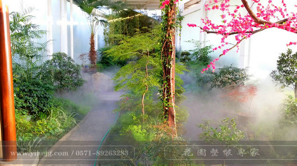 這樣的室內(nèi)庭院，簡直讓我尖叫！